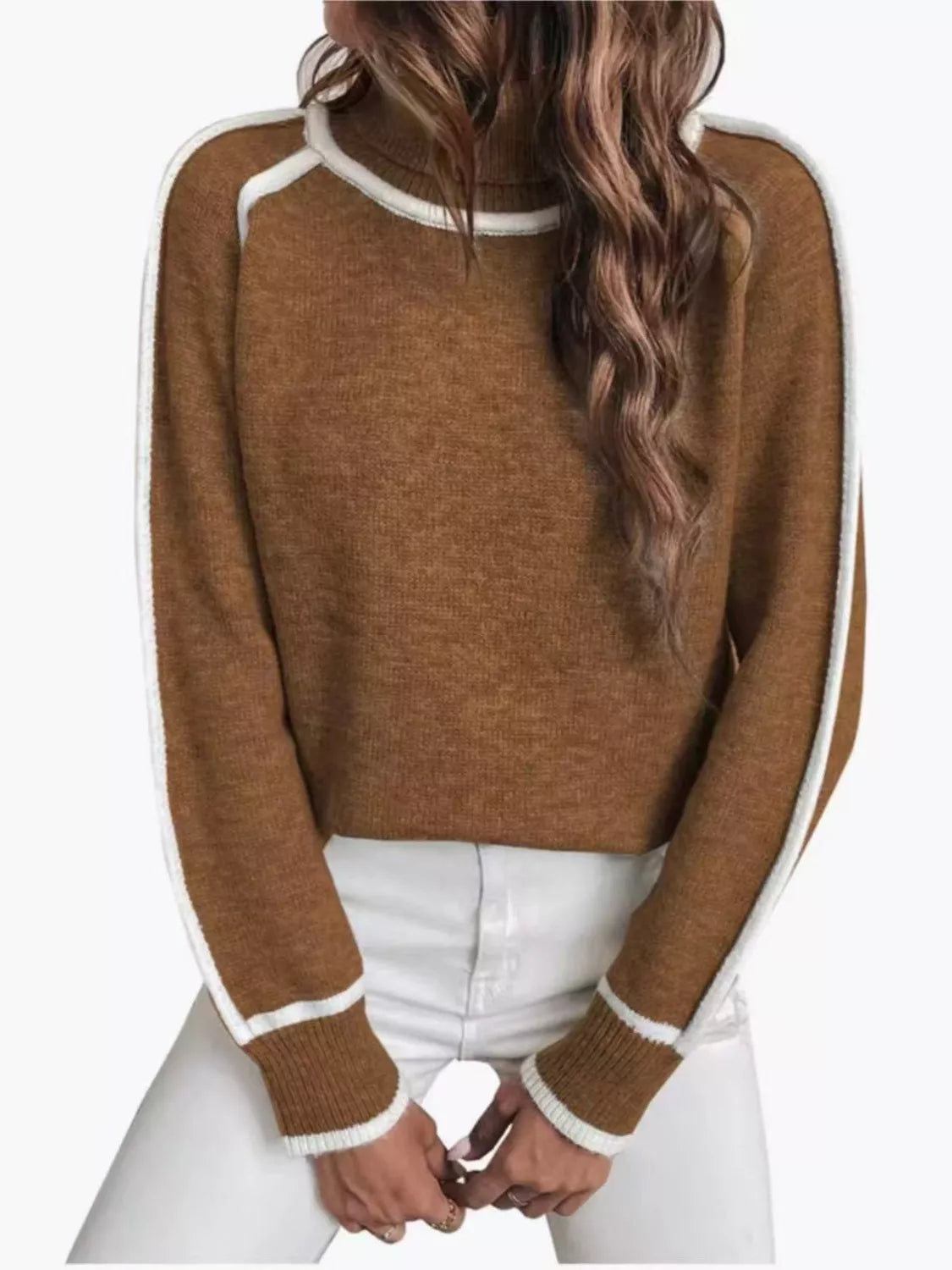 Full Size Turtleneck Contrast Trim Sweater Plus Size